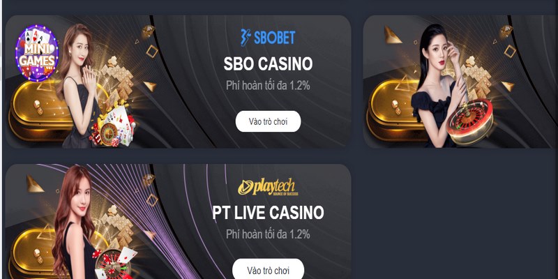 Kiểm tra các ưu đãi và khuyến mãi casino trực tuyến cung cấp